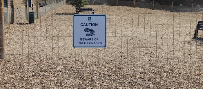 Dog park 2
