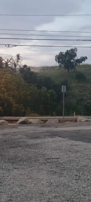 Dog park 7