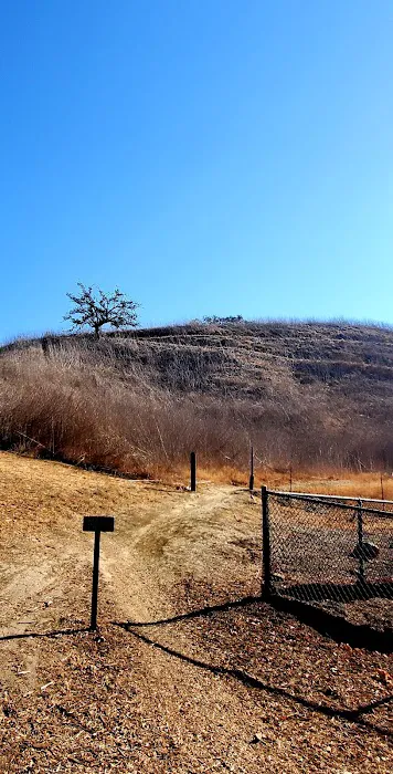 Calabasas Bark Park 6