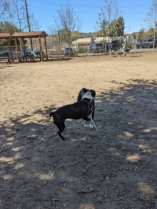 Calabasas Bark Park 10