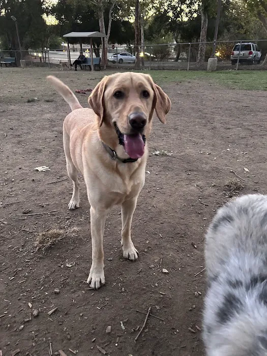 Calabasas Bark Park 9