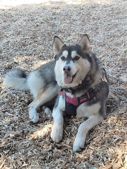 Calabasas Bark Park 4