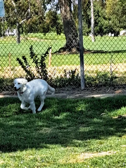Arbor Dog Park 4