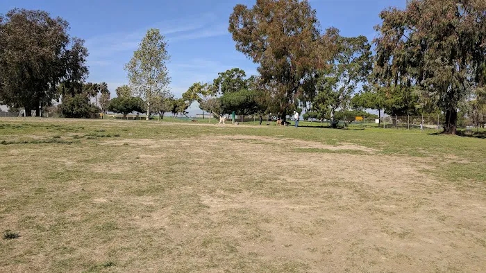 Arbor Dog Park 8