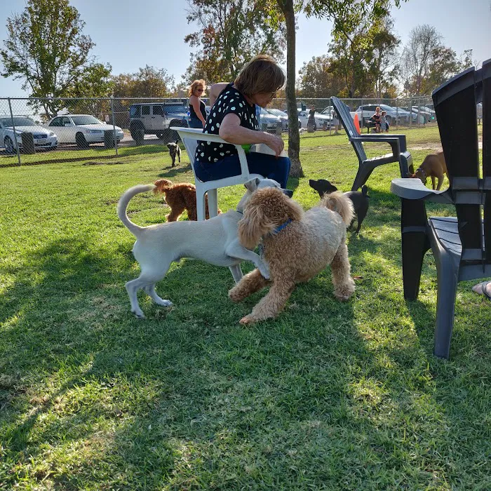 Arbor Dog Park 6