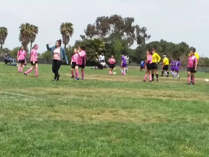 Arbor Dog Park 5