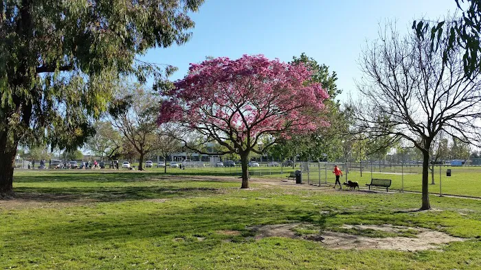 Arbor Dog Park 1
