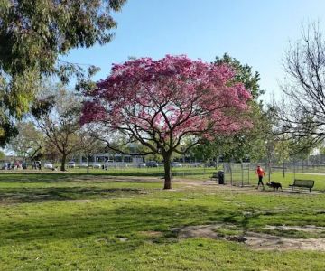 Arbor Dog Park