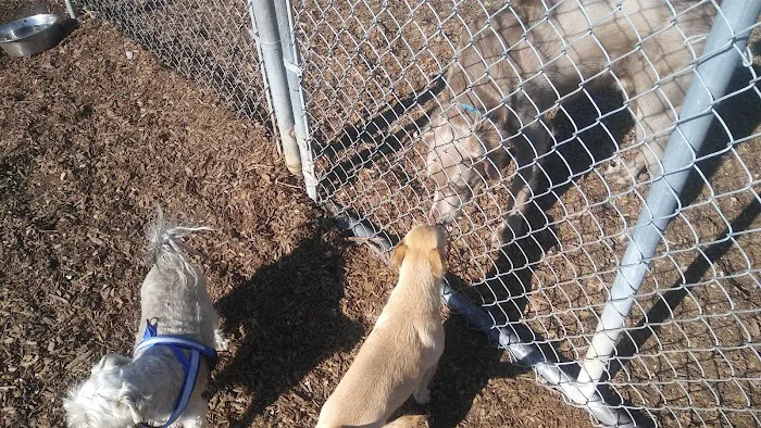 Rancho Caninos Dog Park 1