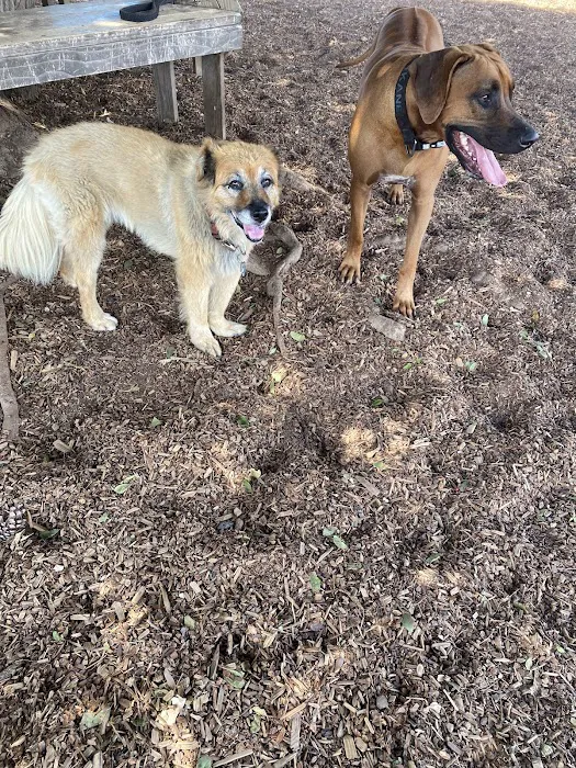 Rancho Caninos Dog Park 8