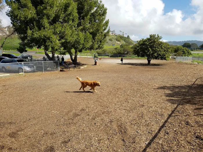 Rancho Caninos Dog Park 3