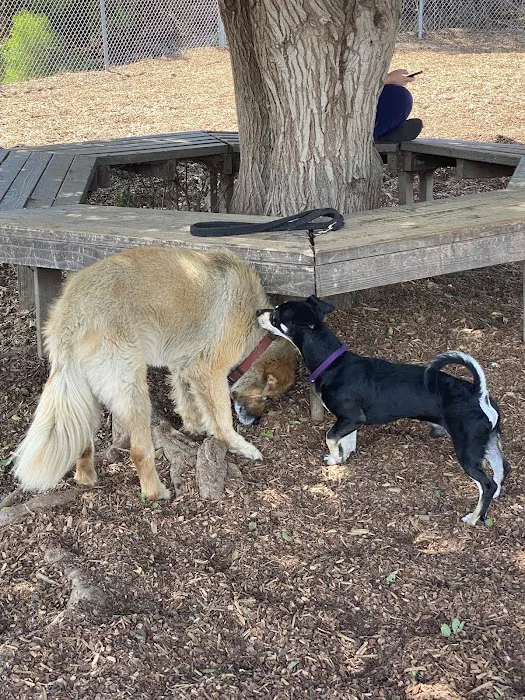 Rancho Caninos Dog Park 4
