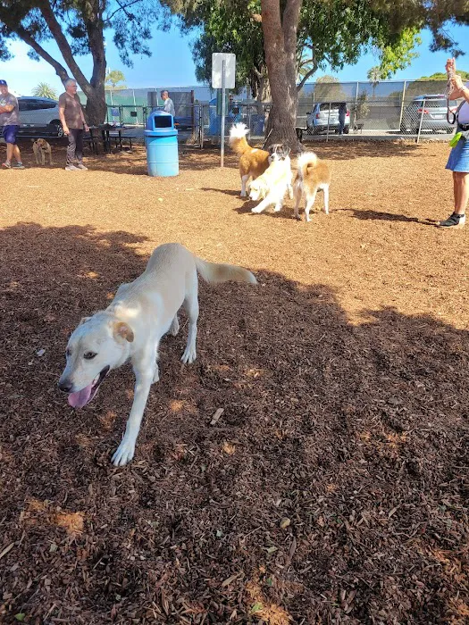Rancho Caninos Dog Park 10