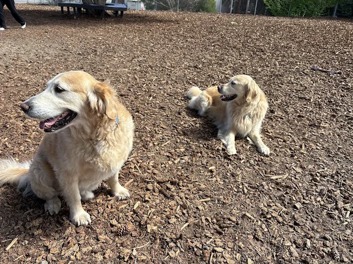 Rancho Caninos Dog Park 9