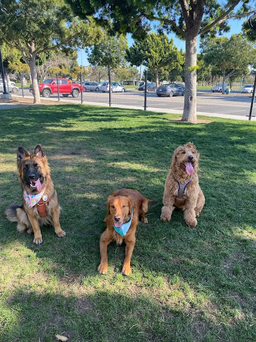 Maxwell Dog Park 1