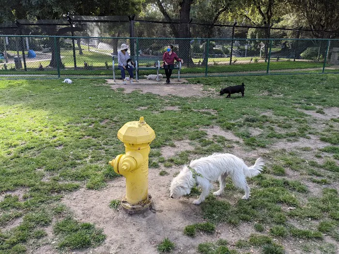 Dog Park | Garden Grove 4