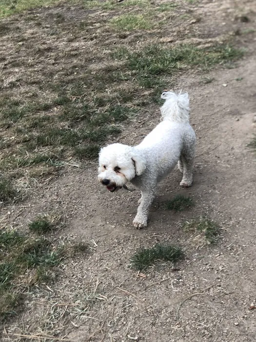 Dog Park | Garden Grove 3