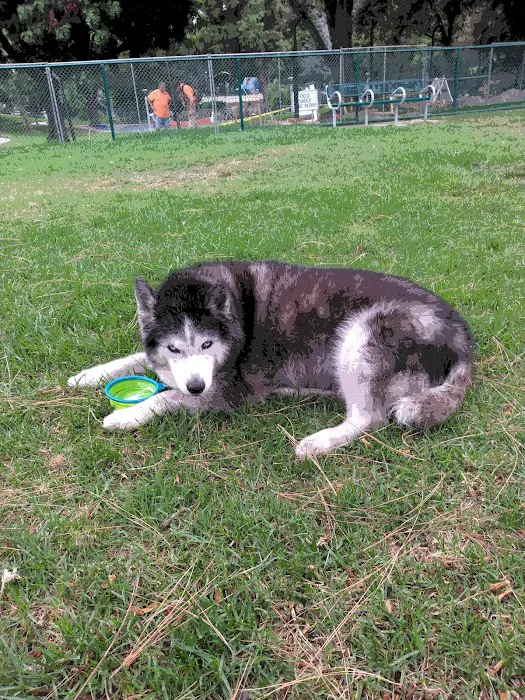 Dog Park | Garden Grove 6