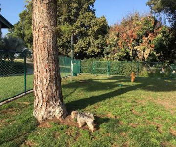 Dog Park | Garden Grove