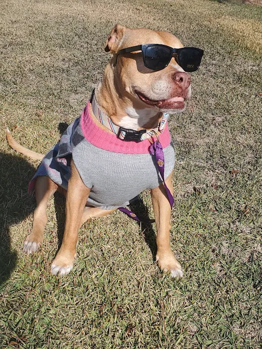 Dog Park | Garden Grove 10