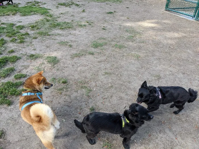 Dog Park | Garden Grove 5