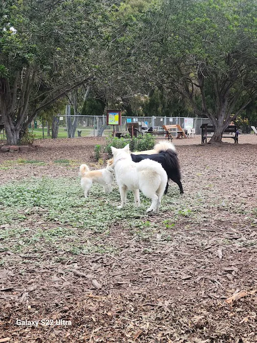 Central Park Dog Park 1