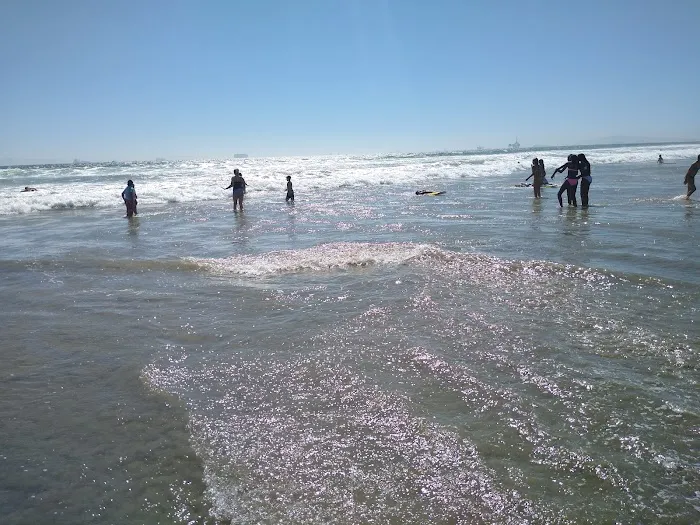 Dog Beach 4
