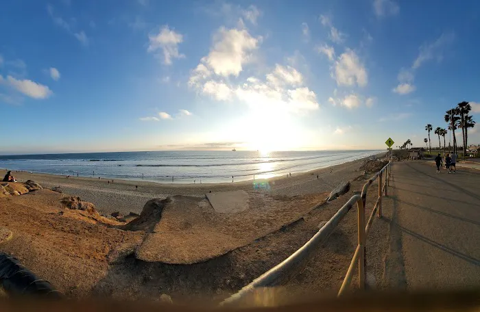 Dog Beach 3