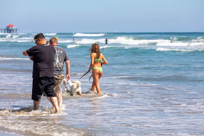 Dog Beach 5