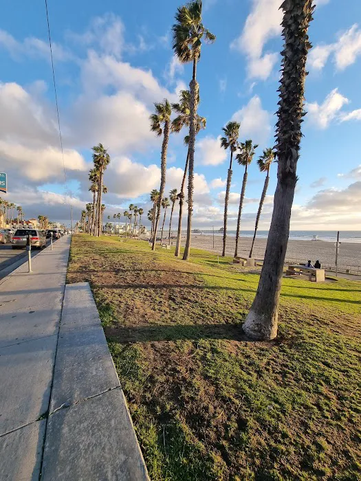 Dog Beach 7