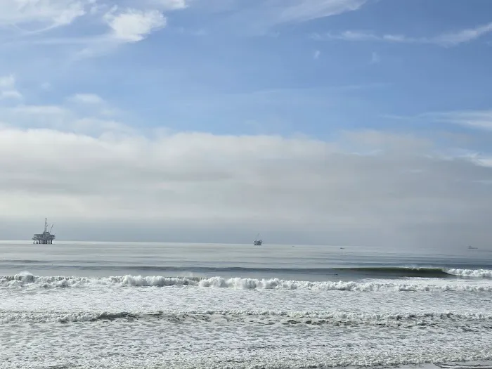 Dog Beach 10