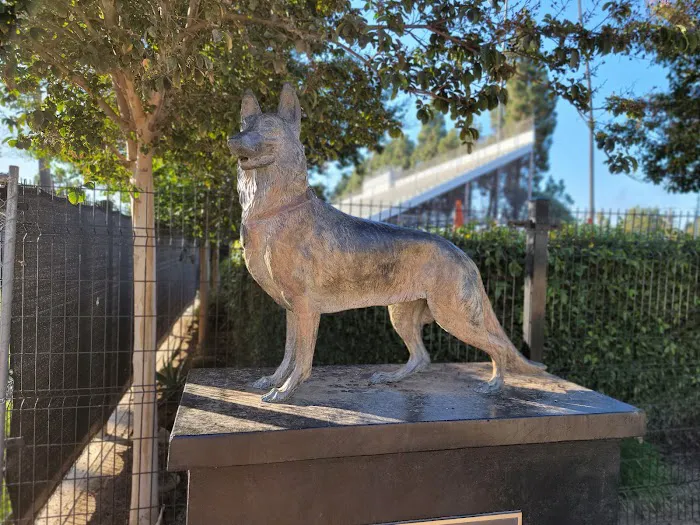 La Palma Dog Park 2
