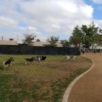 La Palma Dog Park ico