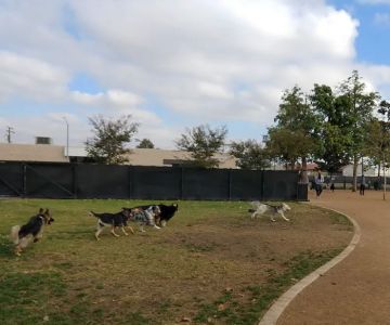 La Palma Dog Park