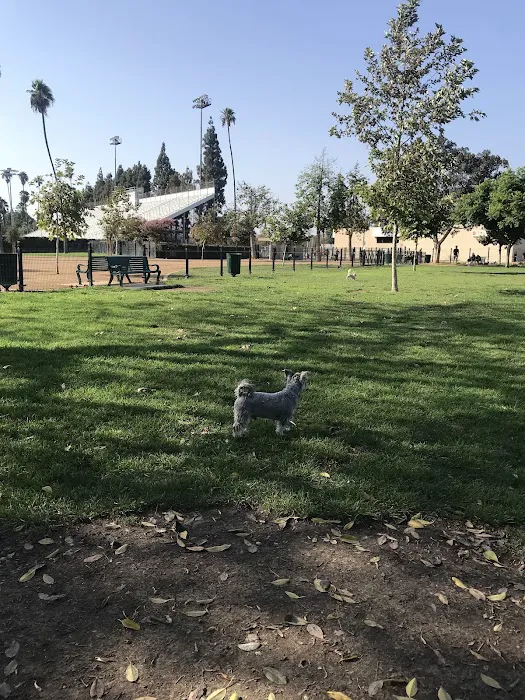 La Palma Dog Park 8
