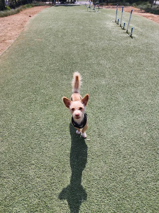 Jacaranda Park & Dog Park 8