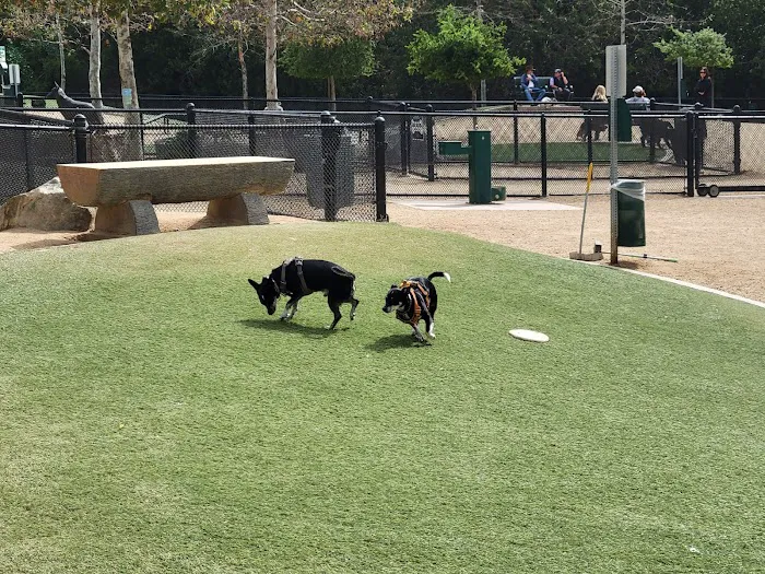 Jacaranda Park & Dog Park 4
