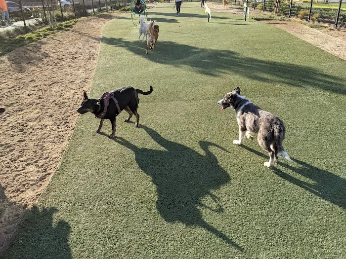 Jacaranda Park & Dog Park 7