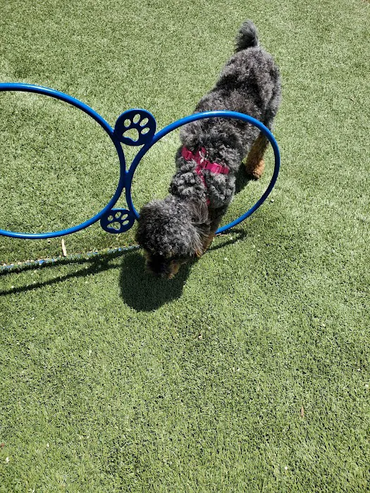 Jacaranda Park & Dog Park 10