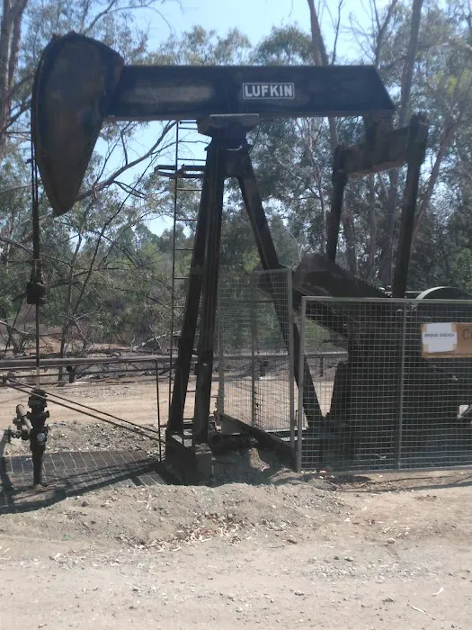 Wildcatters Dog Park 9
