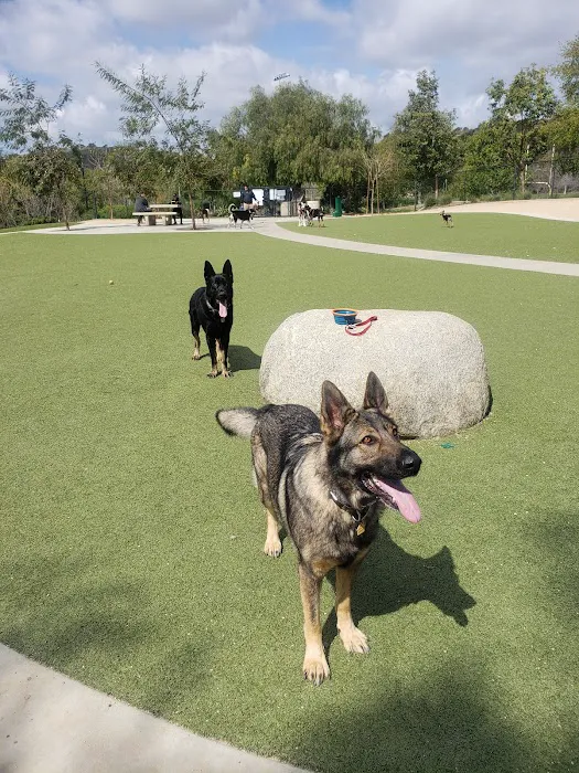 Wildcatters Dog Park 7