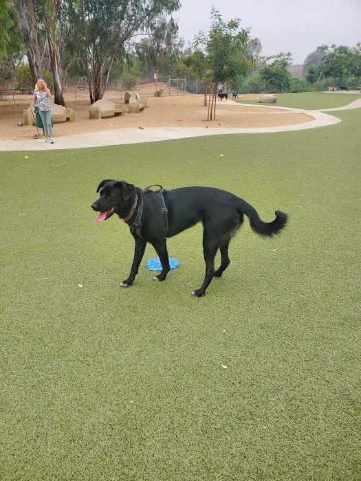 Wildcatters Dog Park 10