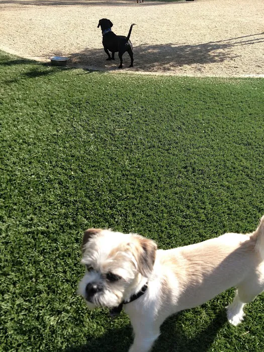 Olive Hills Park 10