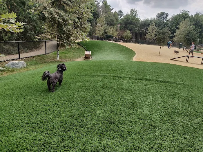 Olive Hills Park 5