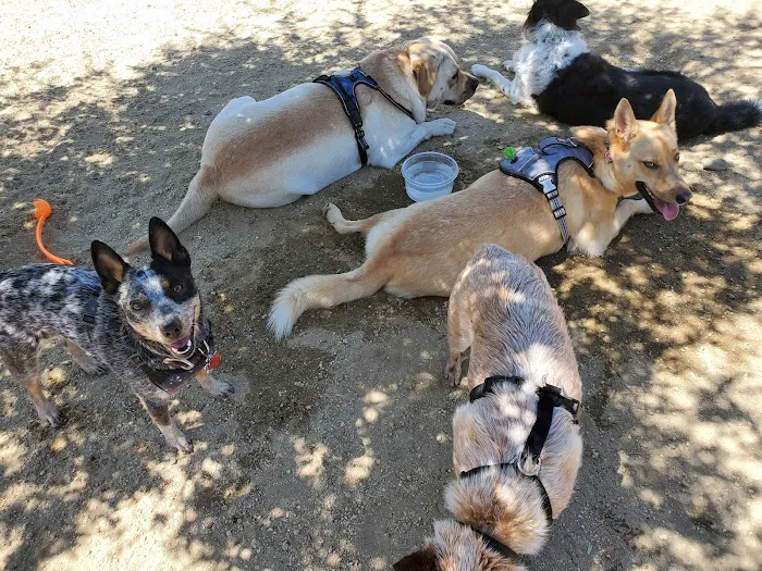 Olive Hills Park 7