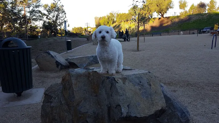 Olive Hills Park 8