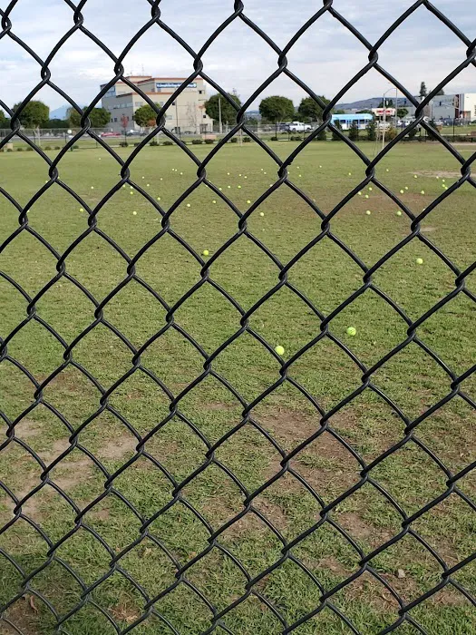 Orange Dog Park Association 2