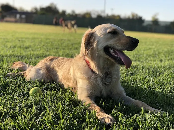 Orange Dog Park Association 9
