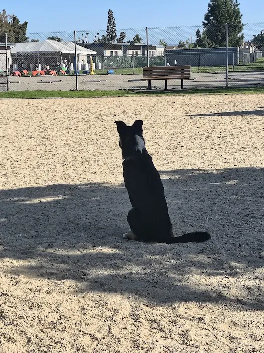 Orange Dog Park Association 5
