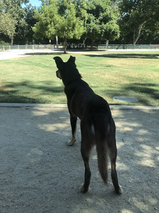 Claremont Pooch Dog Park 2